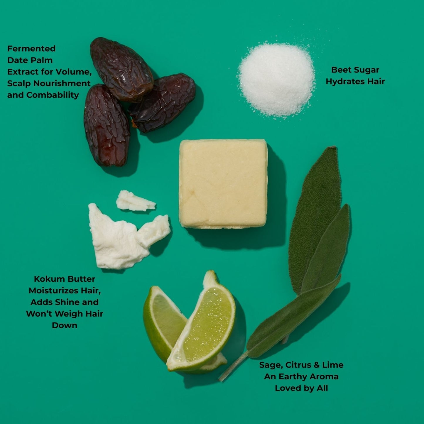 Color Safe Solid Shampoo Bar Key Ingredient in Sage and Citrus