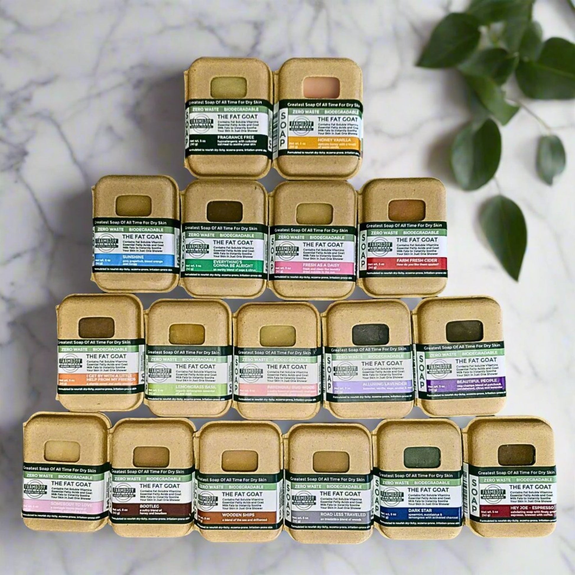 soap made with tallow and goat milk in compostable boxes in 17 different scents including unscented