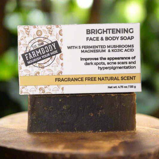 Kojic Acid Soap for Skin Lightening Vegan Mushroom Skin Care