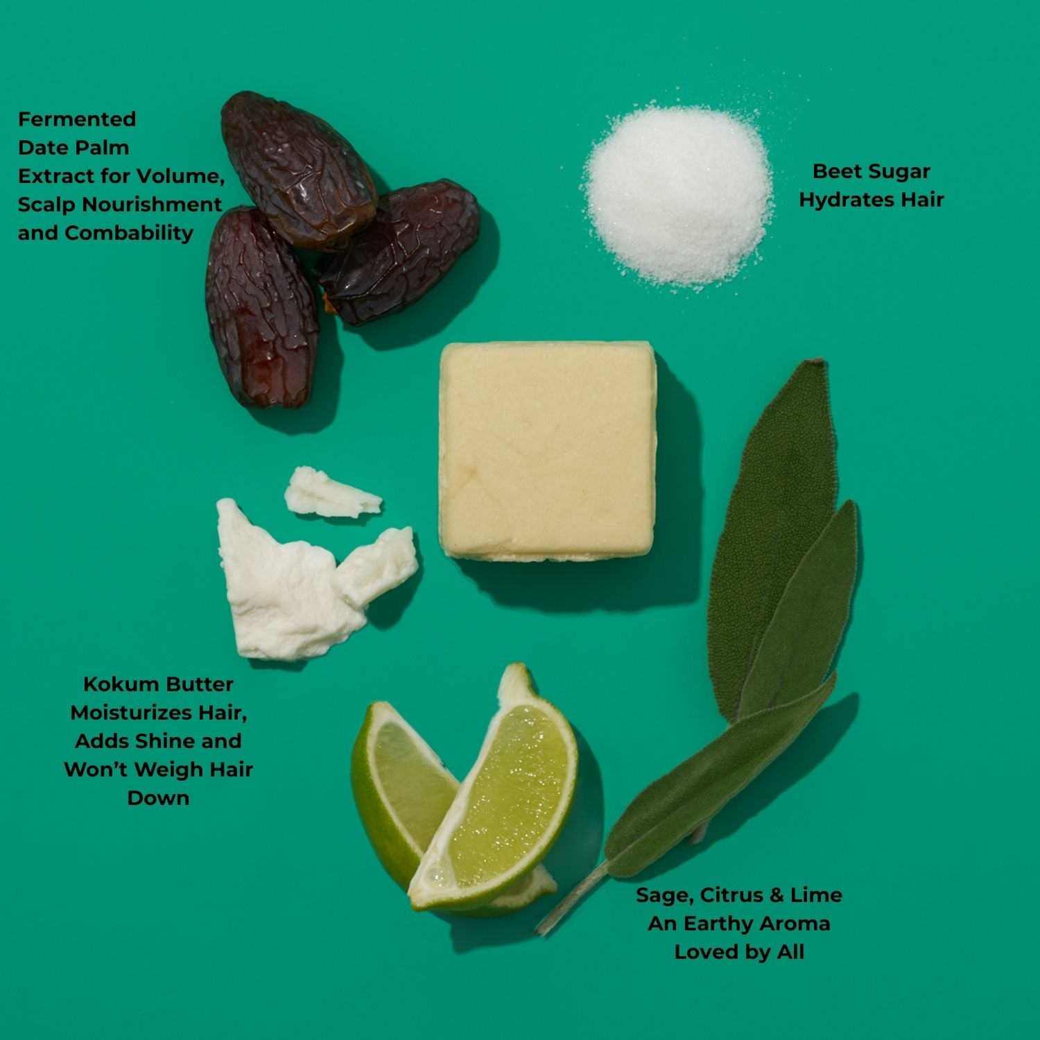 Color Safe Solid Shampoo Bar Key Ingredient in Sage and Citrus