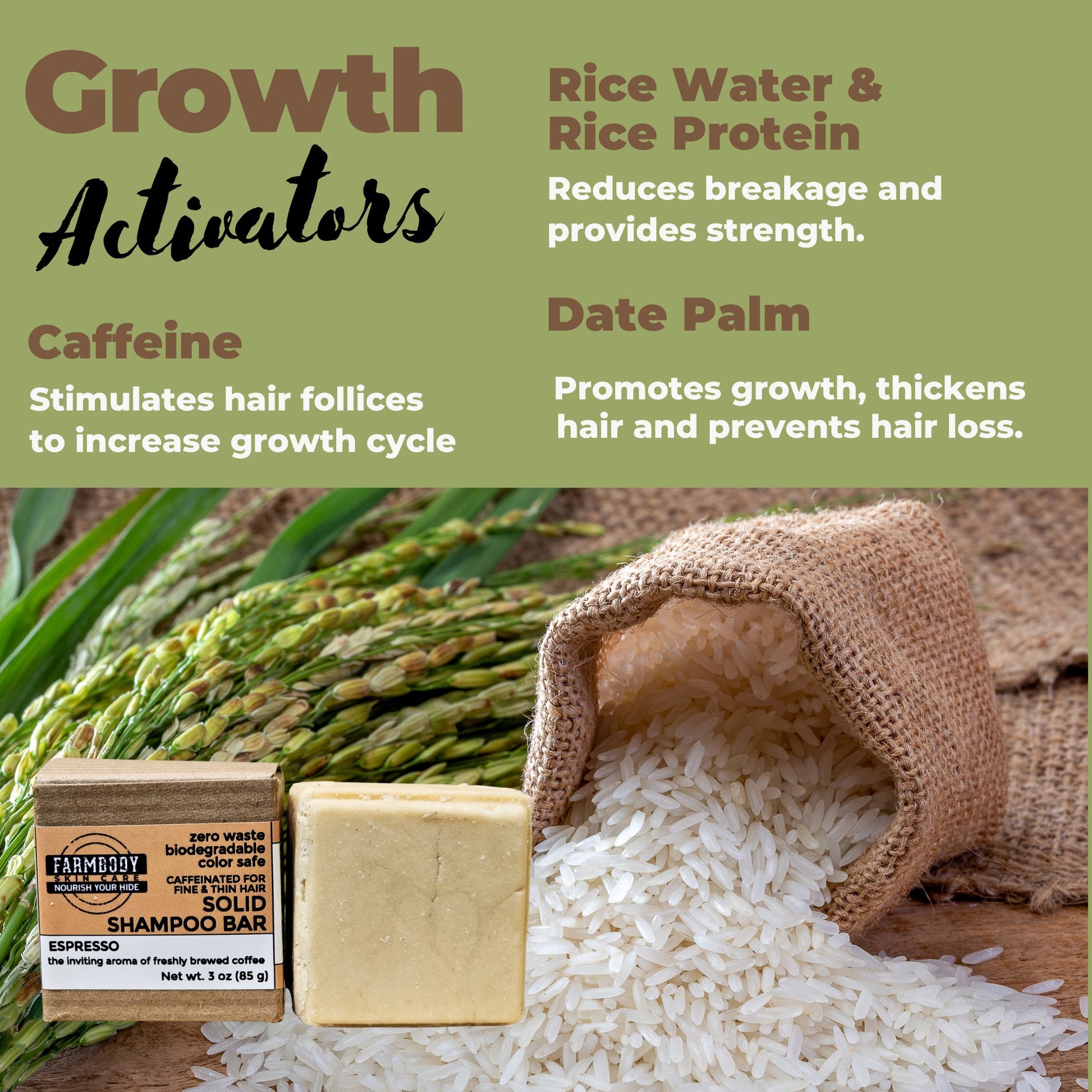 Caffeine, Date Palm, Rice water and Rice Protein help hair grow