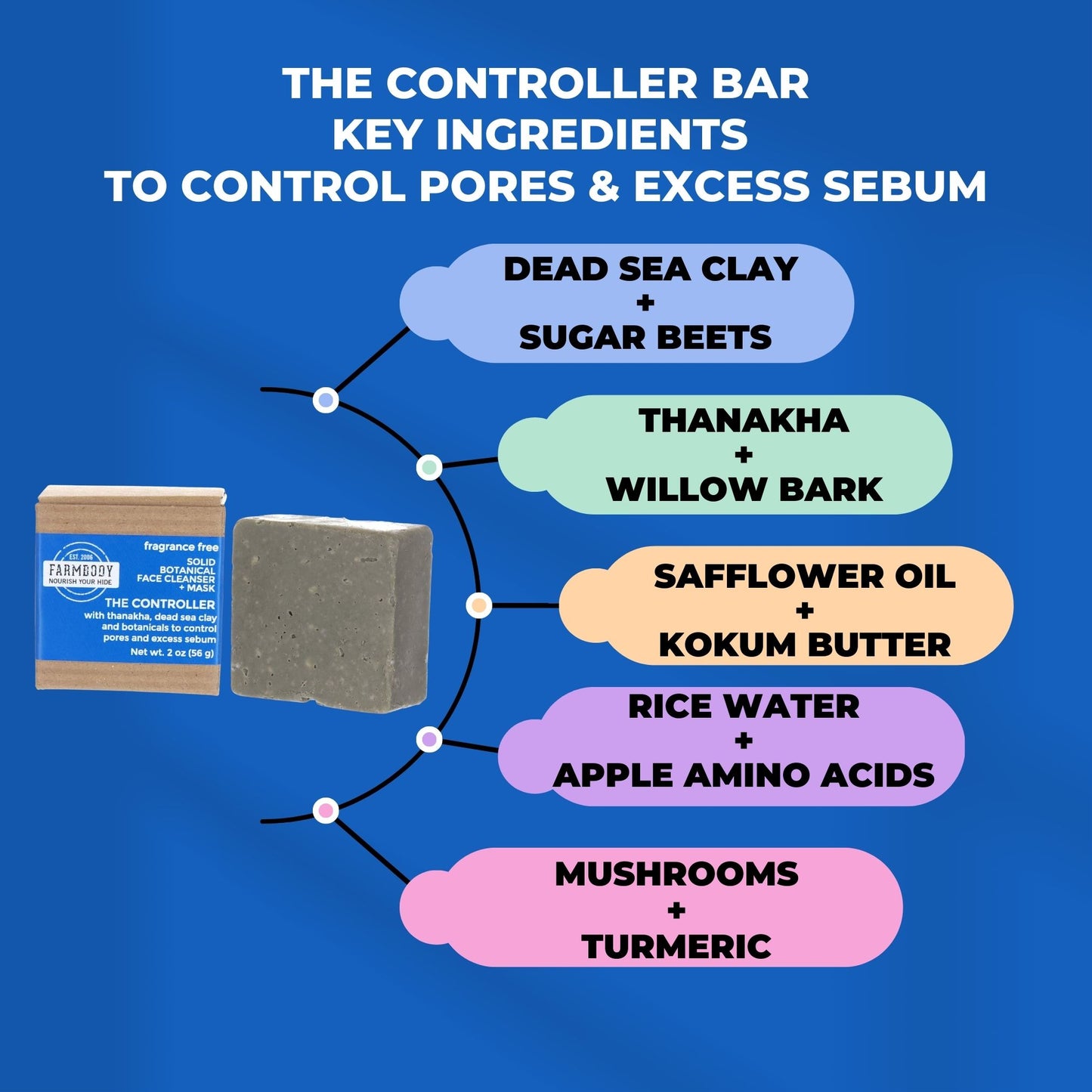 The Controller | Solid Botanical Facel Cleanser + Mask